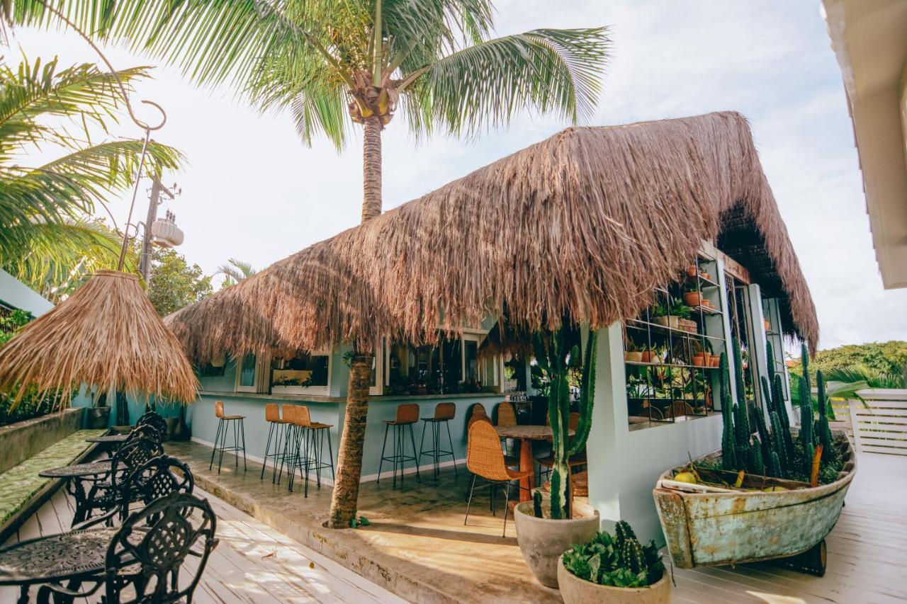 Praia de Pipa Cactus Lodge Pipa מראה חיצוני תמונה