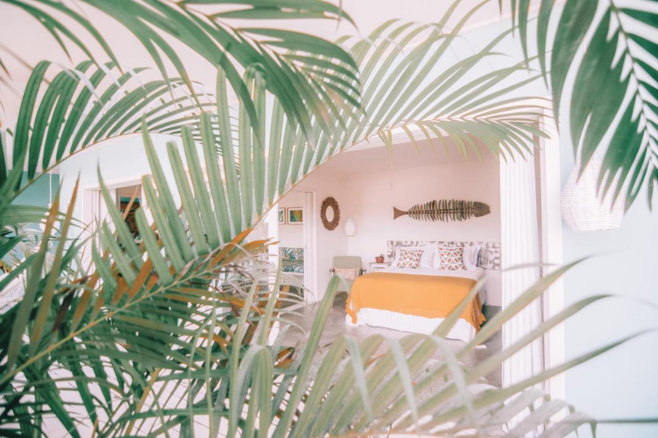 Praia de Pipa Cactus Lodge Pipa מראה חיצוני תמונה